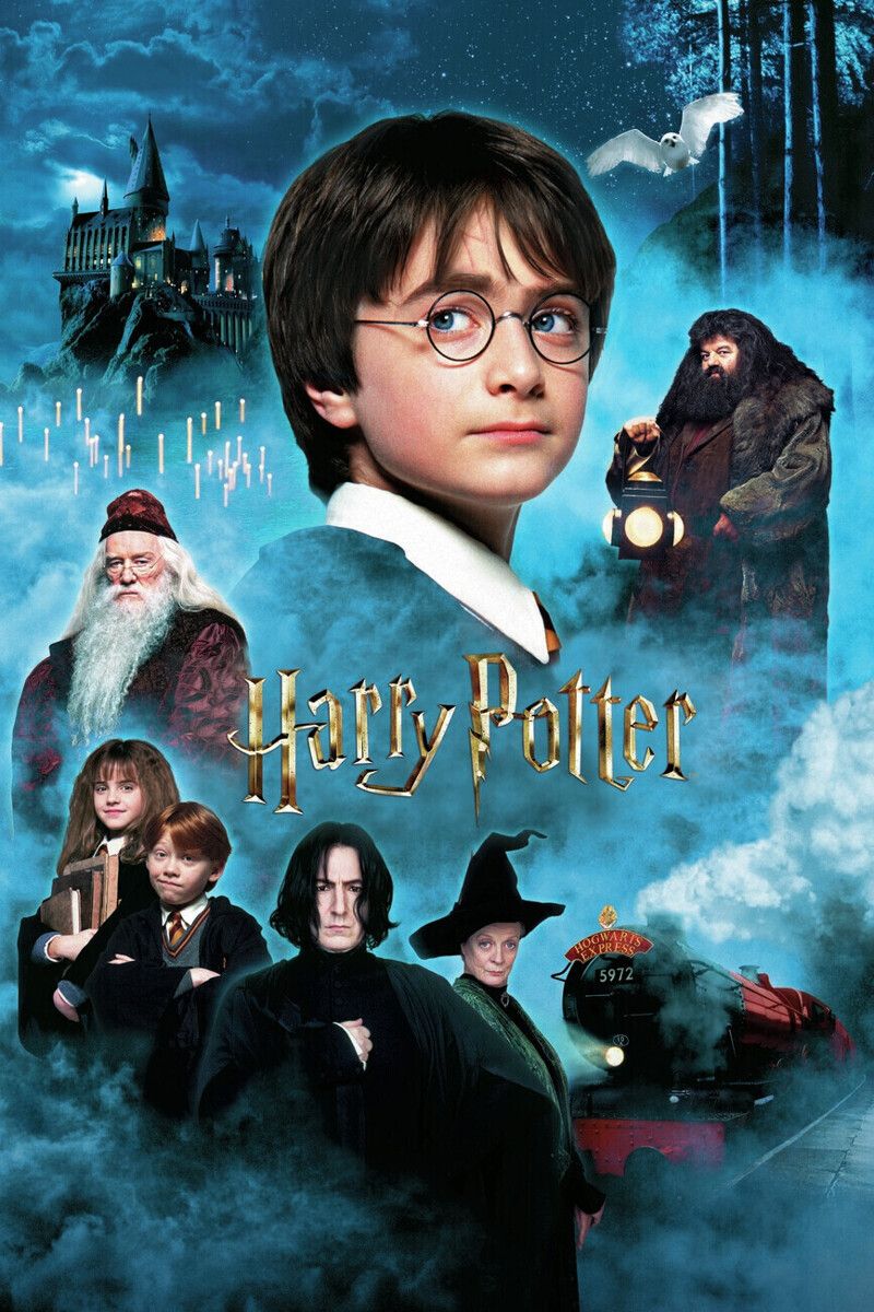 Harry Potter a Kámen mudrců /ZPĚT DO BRADAVIC