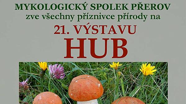 Výstava hub