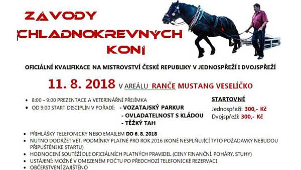 Závody chladnokrevných koní