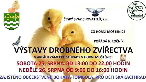 Výstava drobného zvířectva