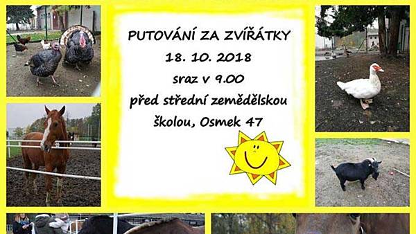 Putování za zvířátky