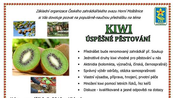 Kiwi - úspěšné pěstování