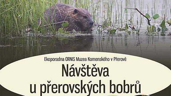 Návštěva u přerovských bobrů