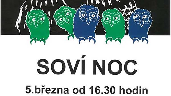 Soví noc