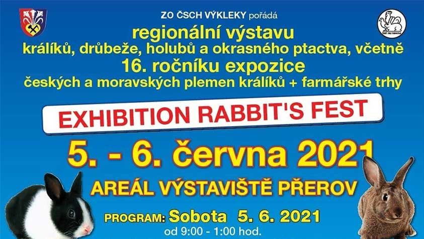 Exhibition Rabbit´s Fest
