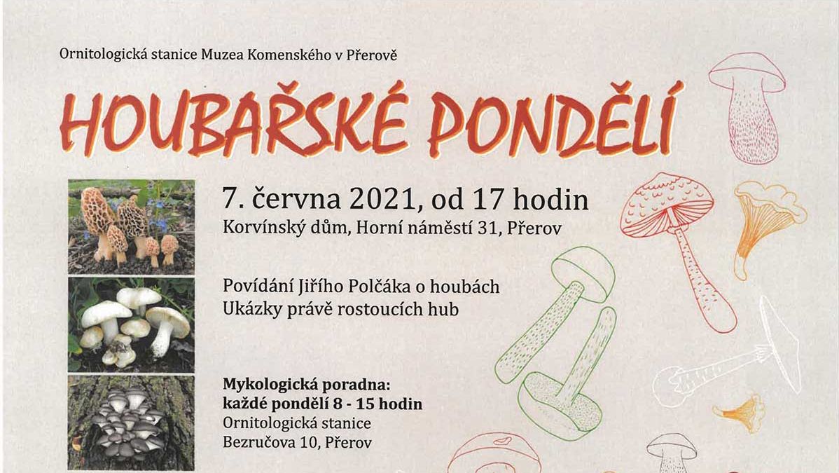 Houbařské pondělí 