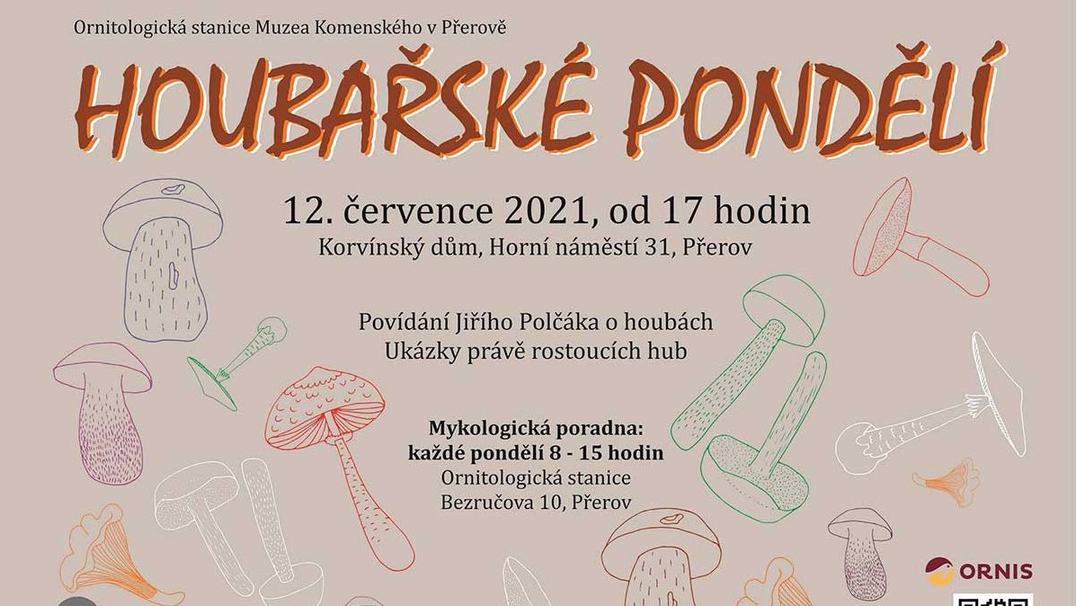 Houbařské pondělí 