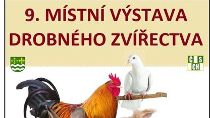 Výstava drobného zvířectva
