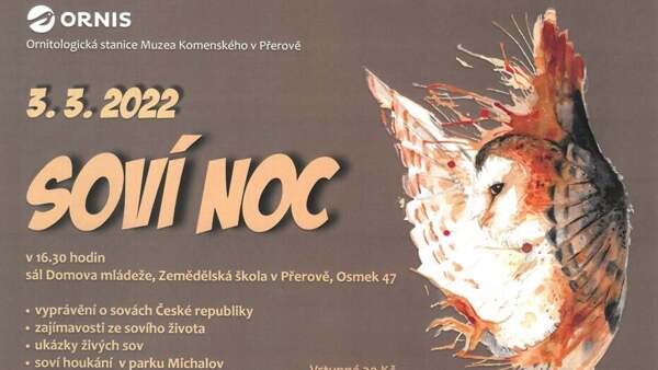 Soví noc