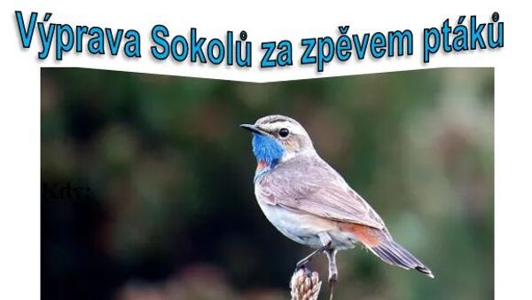 Výprava Sokolů za zpěvem ptáků