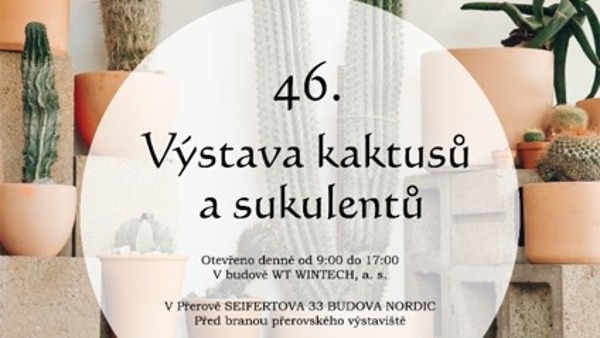 Výstava kaktusů a sukulentů