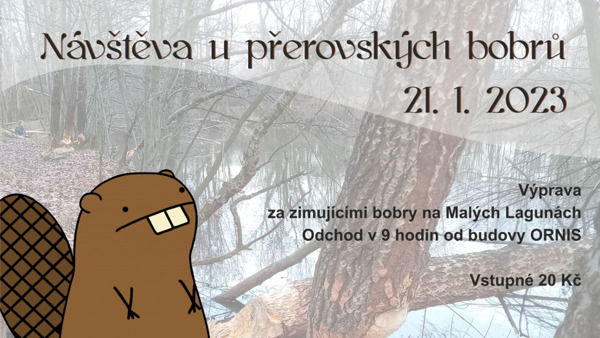 Návštěva u přerovských bobrů