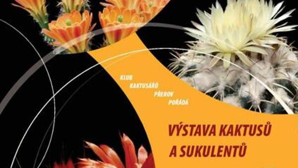 Výstava kaktusů a sukulentů