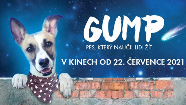 Gump – pes, který naučil lidi žít / LETNÍ KINO