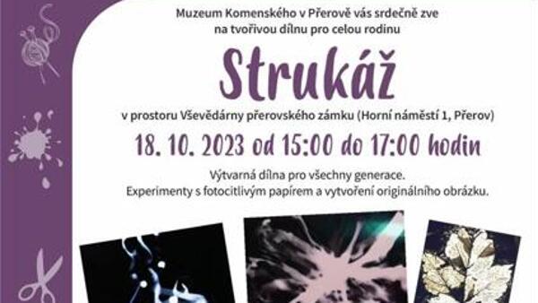 Tvořivé středy v muzeu - strukáž