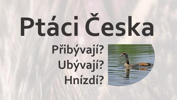 Ptáci Česka