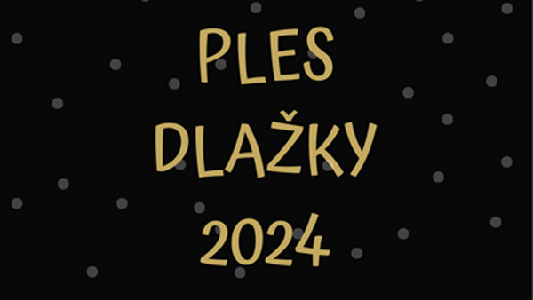 Ples Dlažky