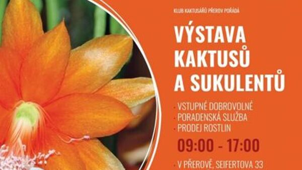 Výstava kaktusů a sukulentů