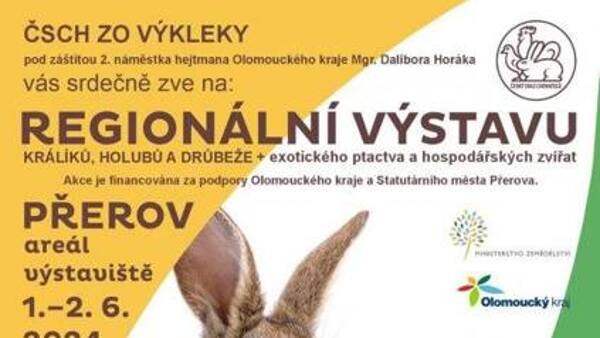 Regionální výstava králíků, holubů a drůbeže