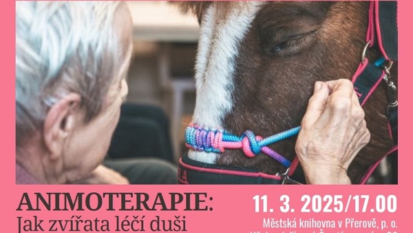 Animoterapie: Jak zvířata léčí duši