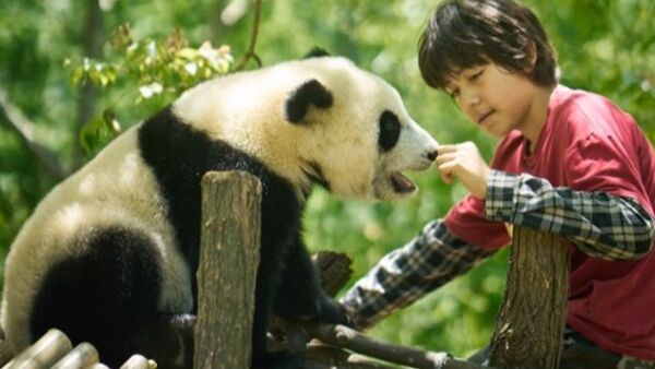 Panda a já