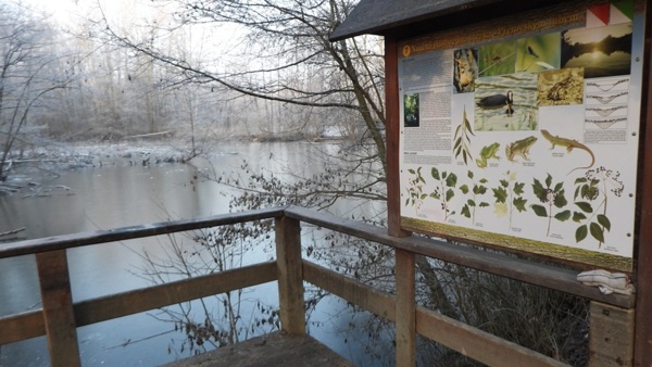 Světový den mokřadů