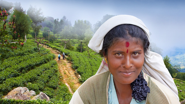 Martin Loew - Srí Lanka cestovatelská diashow